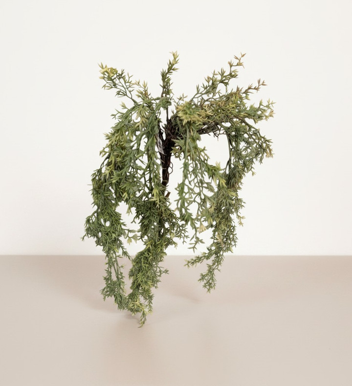 Light Green Trailing Asparagus Fern Spray