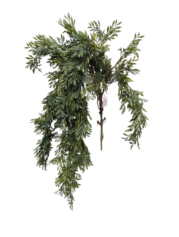 Medium Green Trailing Succulent Bush