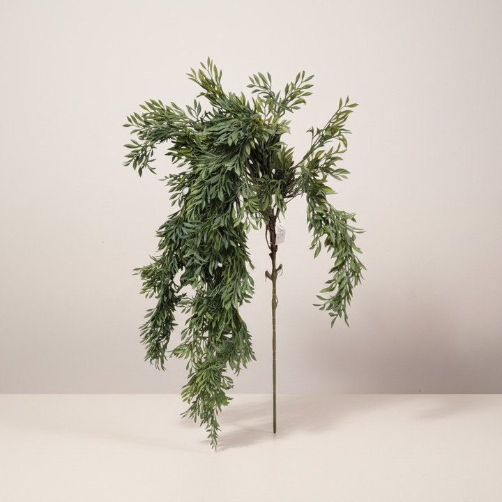 Medium Green Trailing Succulent Bush