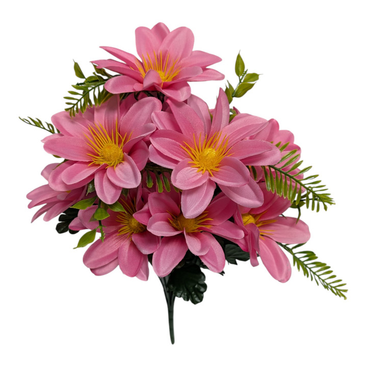 Pink Spring Dahlias