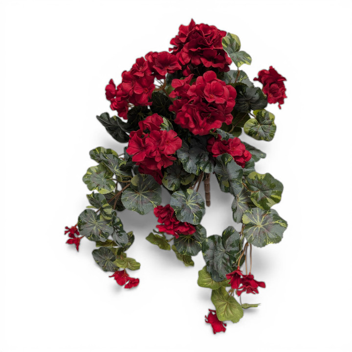 21" Deep Red Geranium Hanging Bush