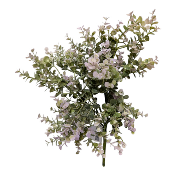 Sage Baby Eucalyptus Bush with Pastel Purple Highlights