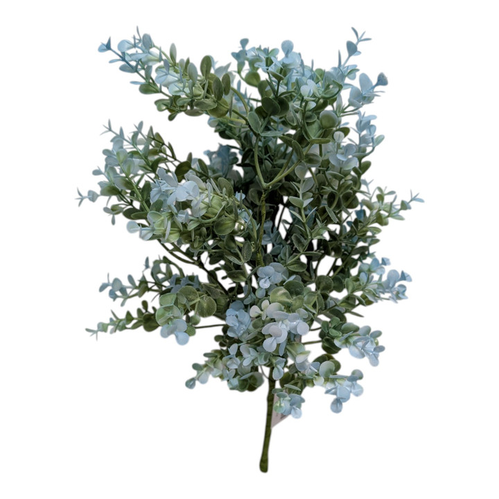 Sage Baby Eucalyptus Bush with Pastel Blue Highlights