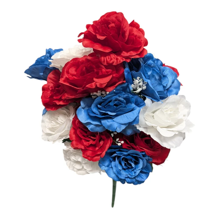 Red White & Blue Full Blooms Open Rose Bush with Baby's Breath