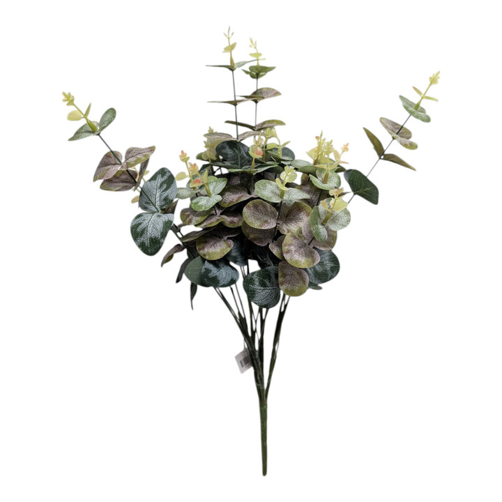 Shades of Green Eucalyptus Bush with Purple