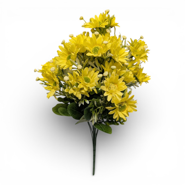 Yellow Wildflower Daisies