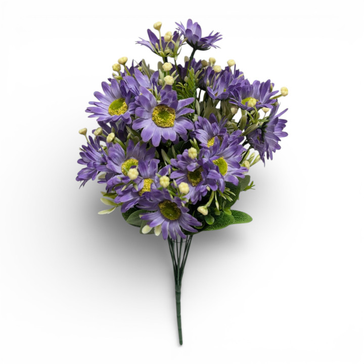 Purple Wildflower Daisies