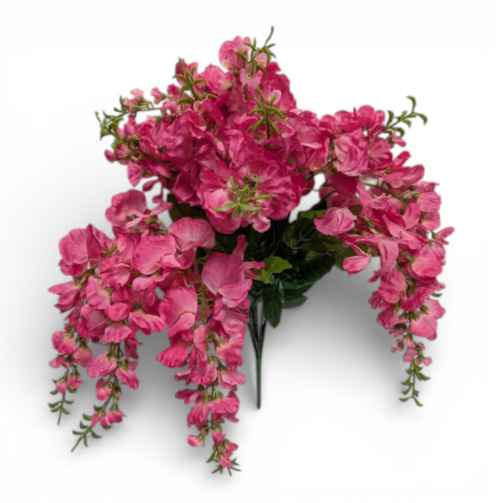 27" Beauty Pink Cascading Wisteria Bush