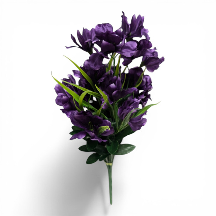 Deep Purple Iris Bush