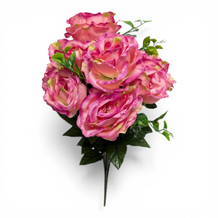 Mauve Pink Cabbage Roses with Subtle Purple Highlights