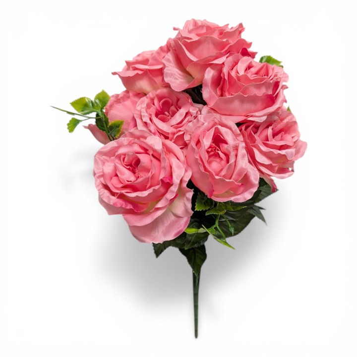 Bubble Gum Pink Cabbage Roses with Inner Cream Accents