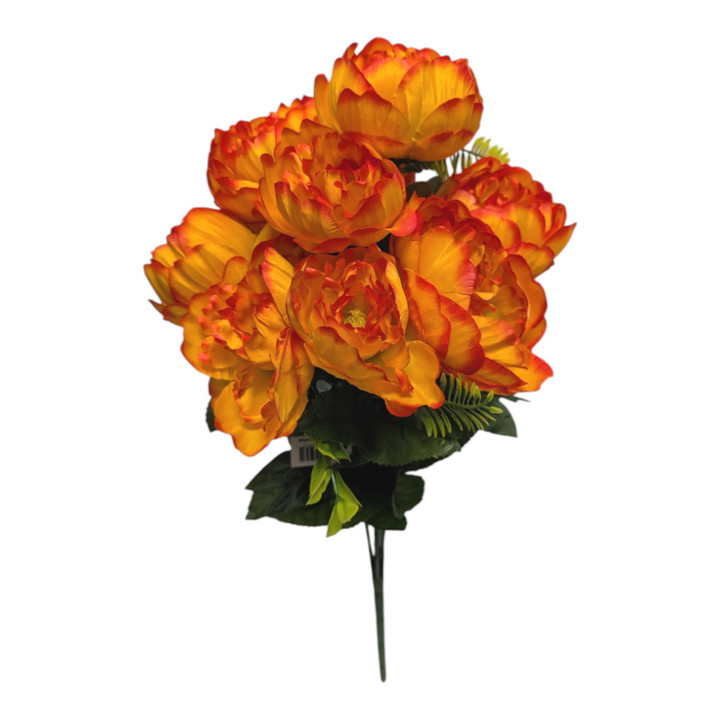 Light Orange Peonies with Fire Orange Tips