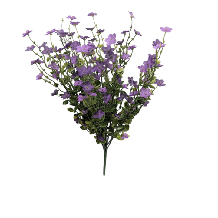 Purple Forget-Me-Not Petite Wildflowers
