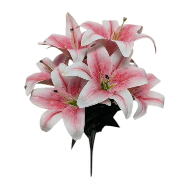 Hot Pink Tiger Lily Bush 