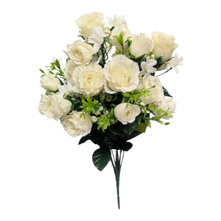 Cream Mini Buds Rose Bush