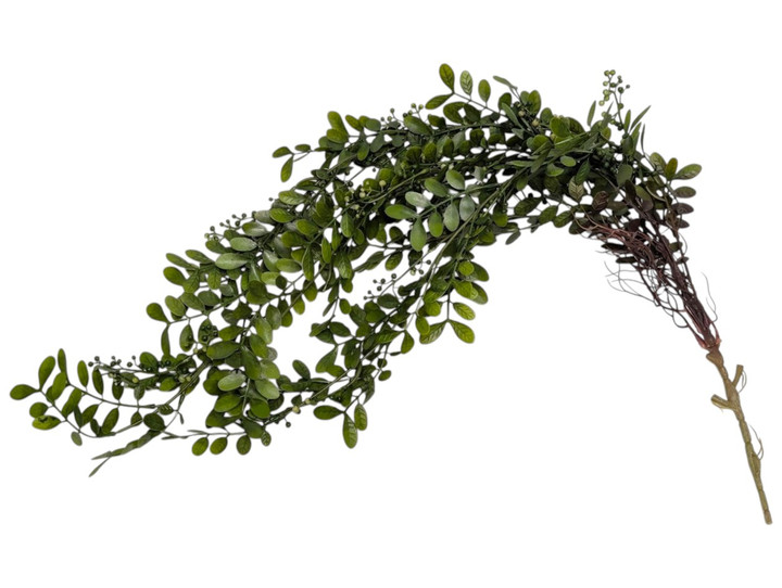 Trailing Eucalyptus Berry Hanging Bush – Green