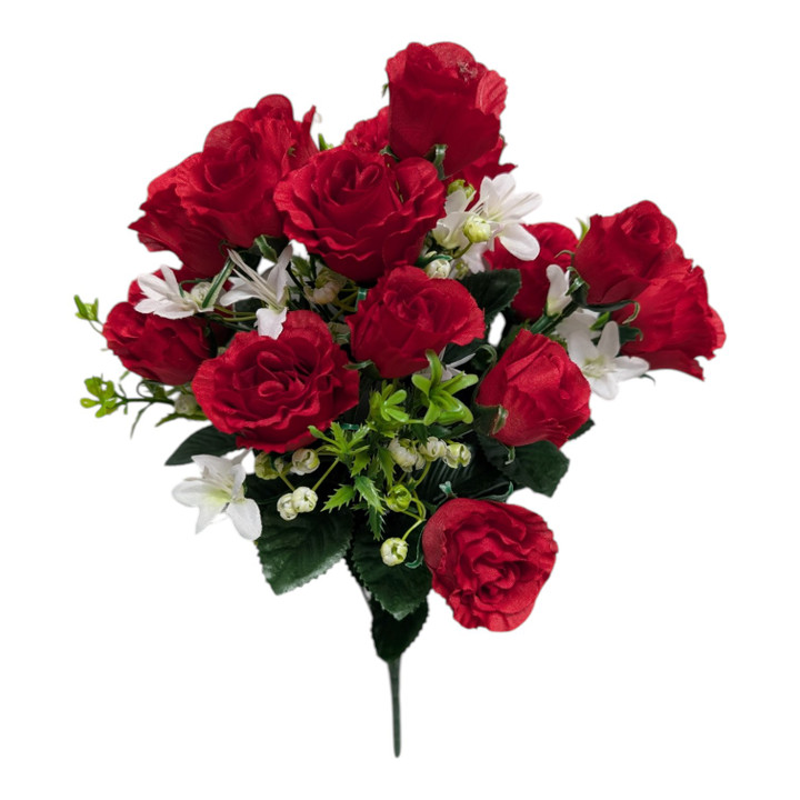 True Red Mini Buds Rose Bush