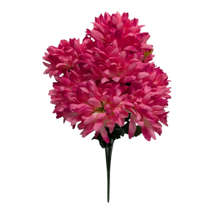 Beauty Pink Mum Bush