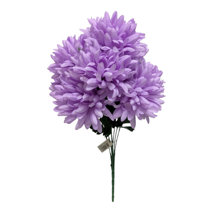 Lavender Mum Bush