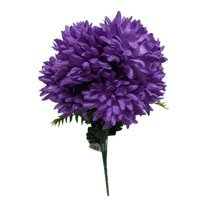 Purple Mum Bush