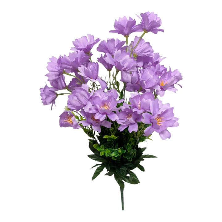 Lavender Cosmo Blossoms