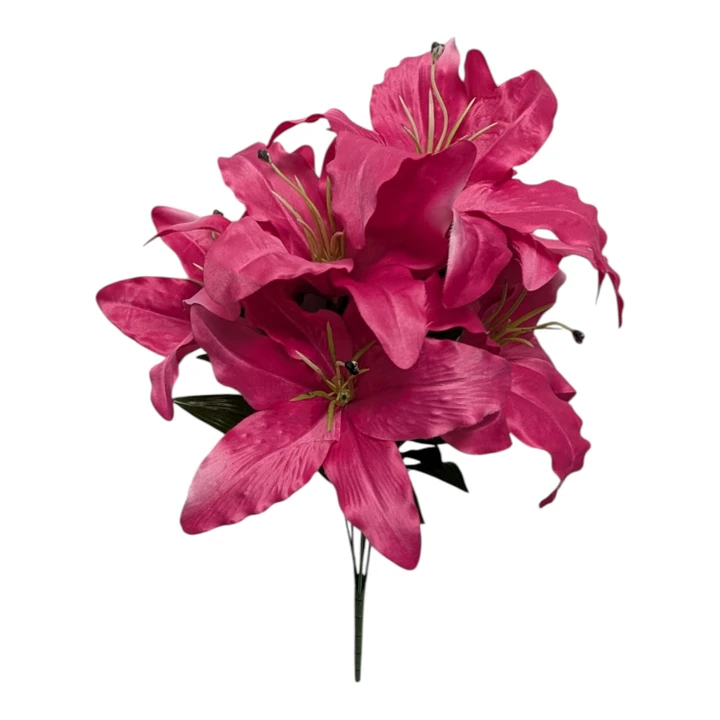 Beauty Pink Tiger Lilies