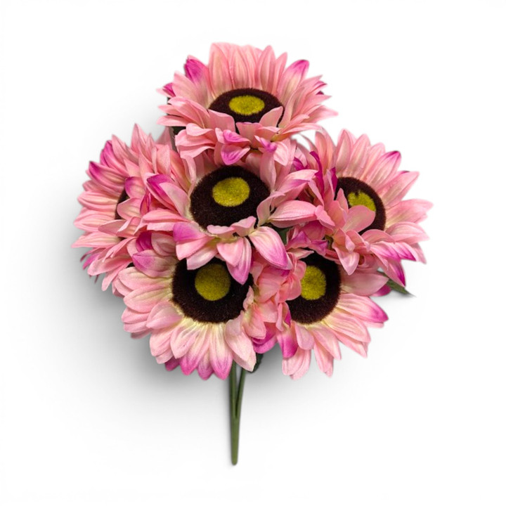 Pink Sunflower Bush