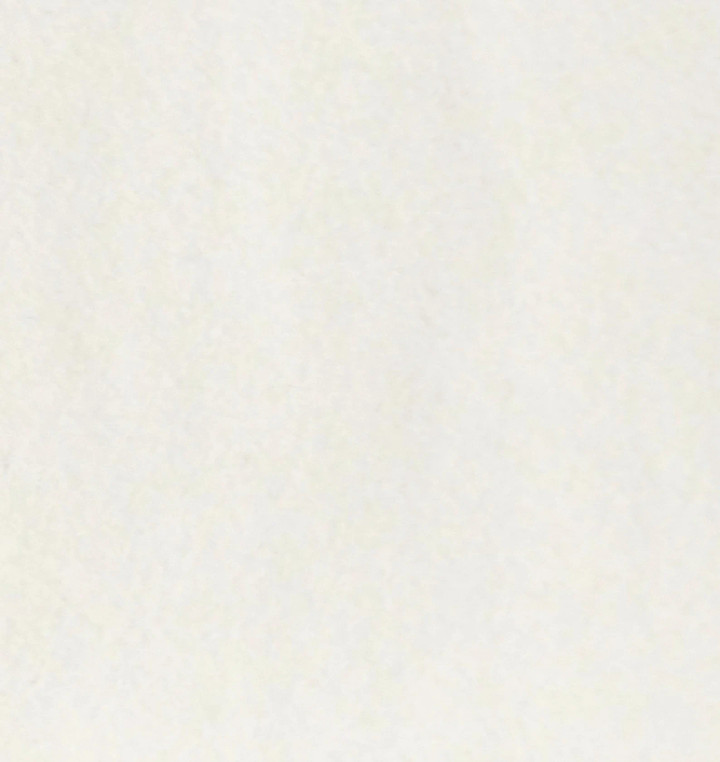 National Nonwovens Wool Felt by the yard-Boogie Beige
