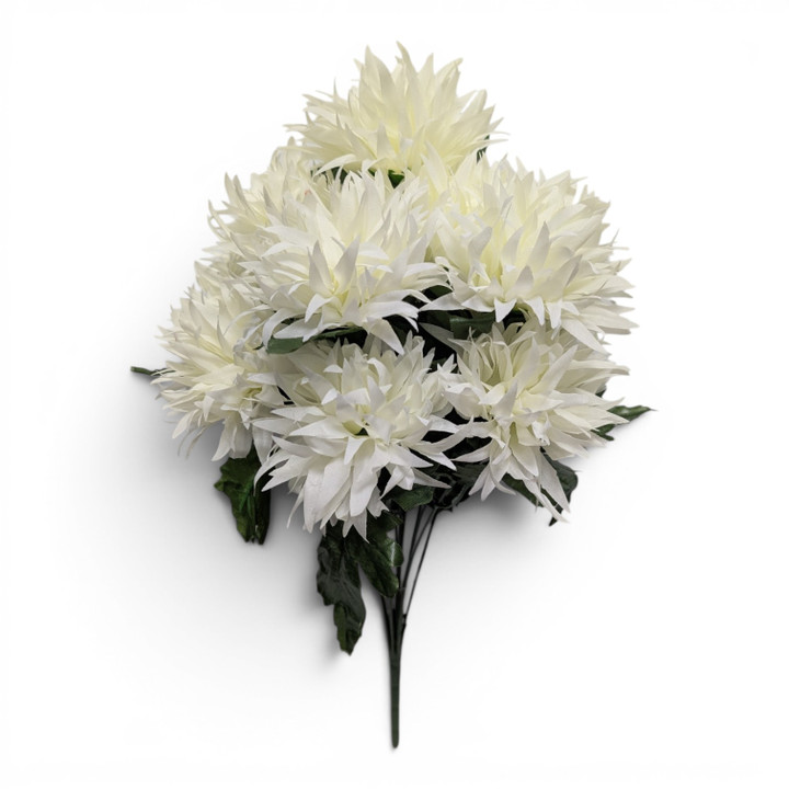 Mum Bush - Cream