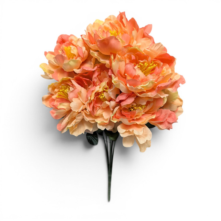 Peach Peony Bush