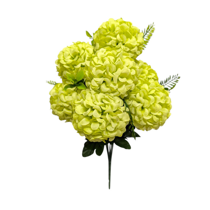 Lime Green Snowball Hydrangea Bush