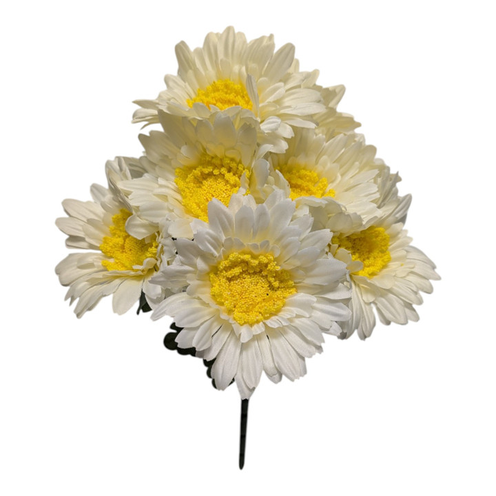 White Cream Gerber Daisy Bush