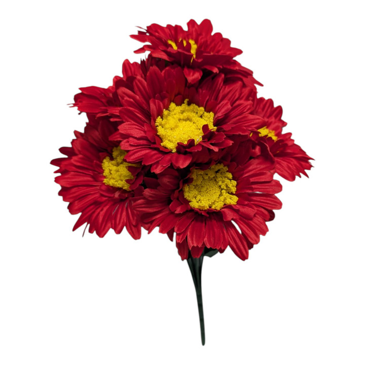 Red Gerber Daisy Bush