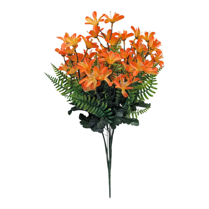 Orange Tweedia Fern Bush