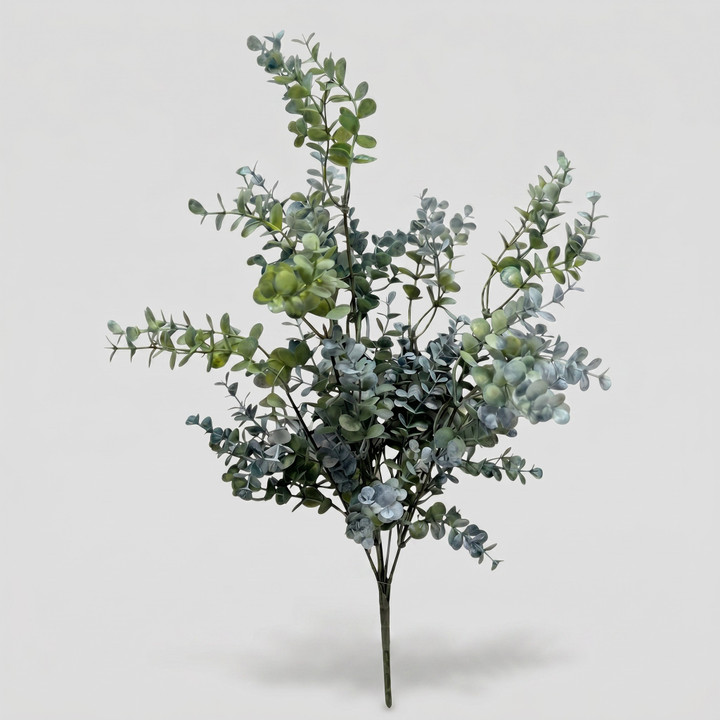 Teal Green Boxwood Bush