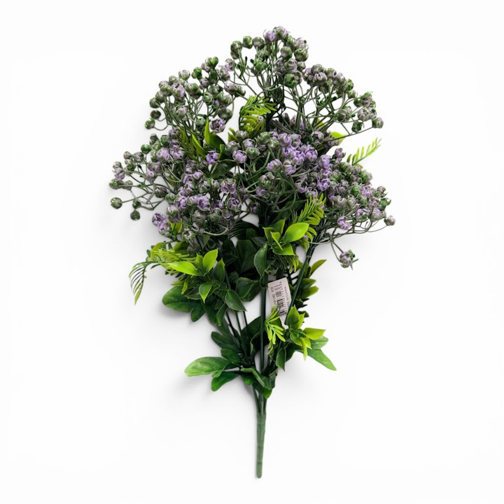 Purple Baby's Breath (Gypsophila) Bush