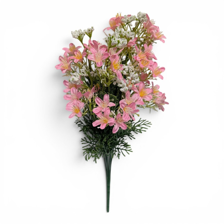 Light Pink Starflower Blossom Bush