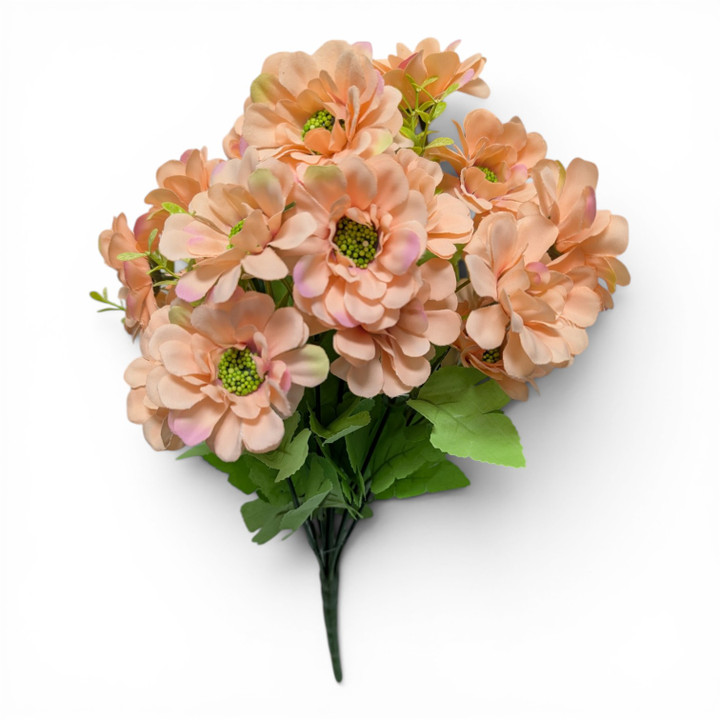 Pale Peachy Pink Zinnia Bush