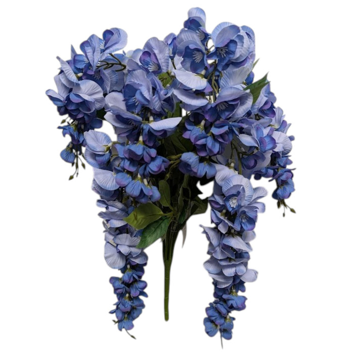 Violet Blue Wisteria Bush