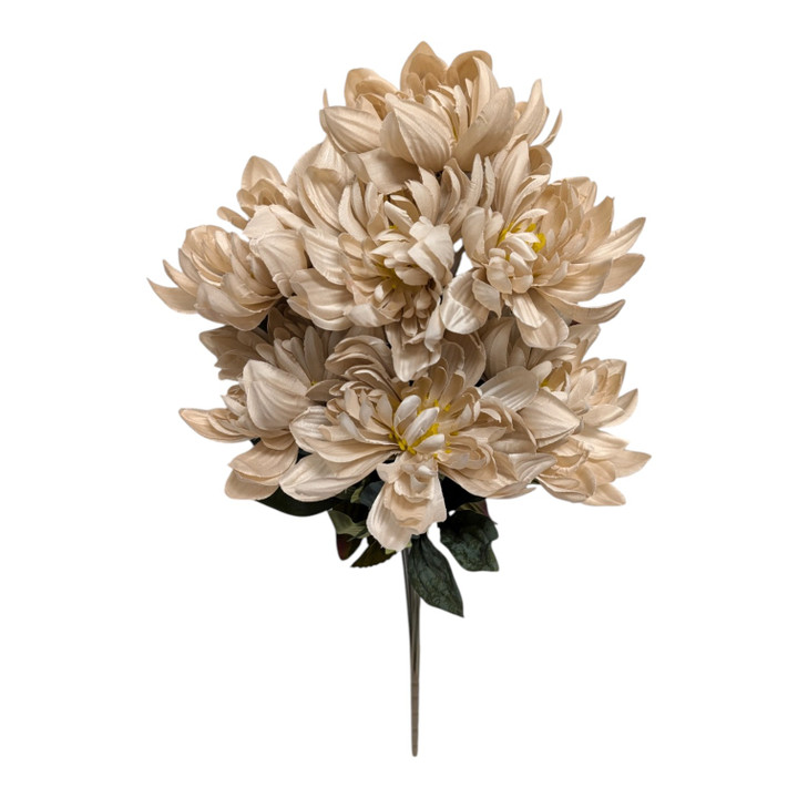Taupe Dahlia Bush