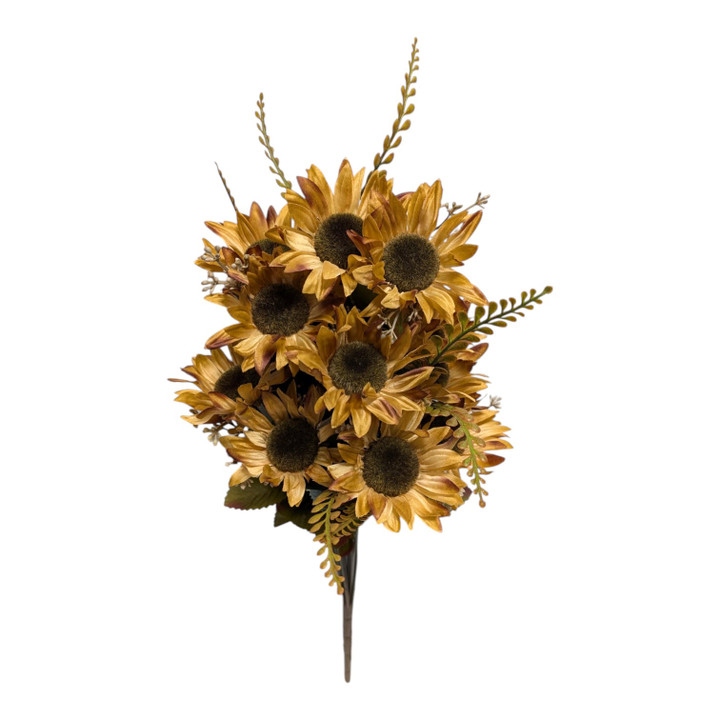 Beige Brown Wild Sunflower Bush