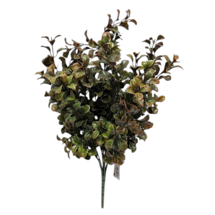 Tea Leaf Bush with Burgundy Splatter
