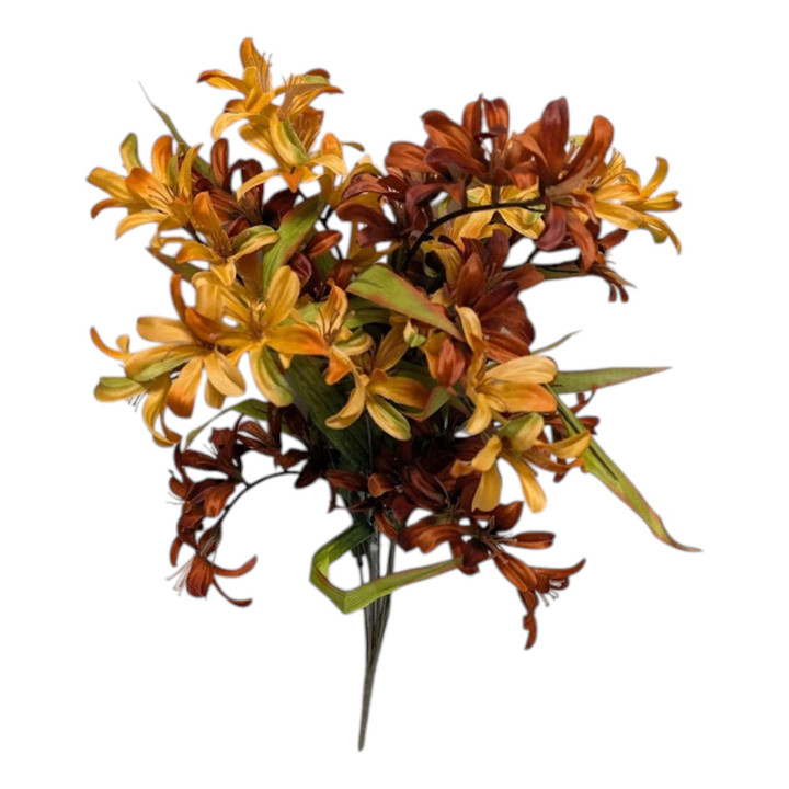 Bronze Brown Freesia Bush