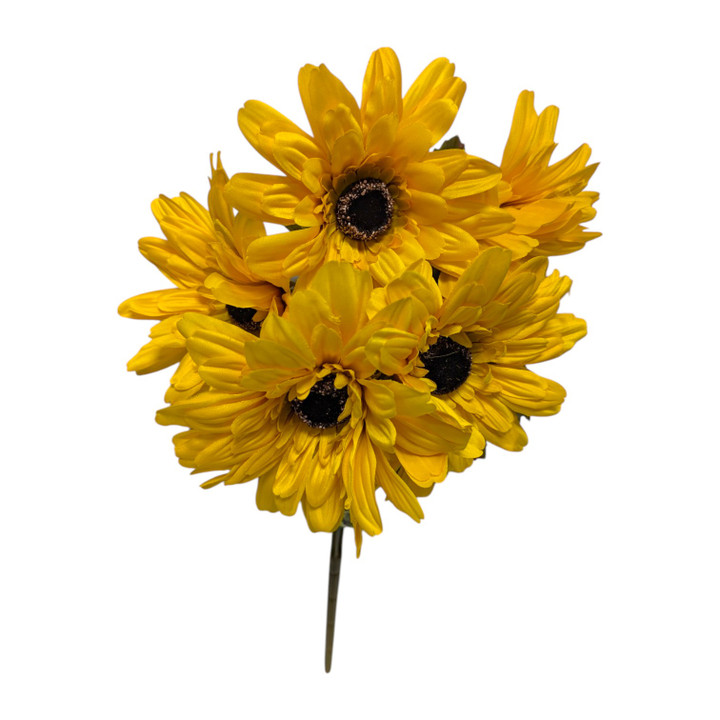 Golden Yellow Gerber Daisy Bush