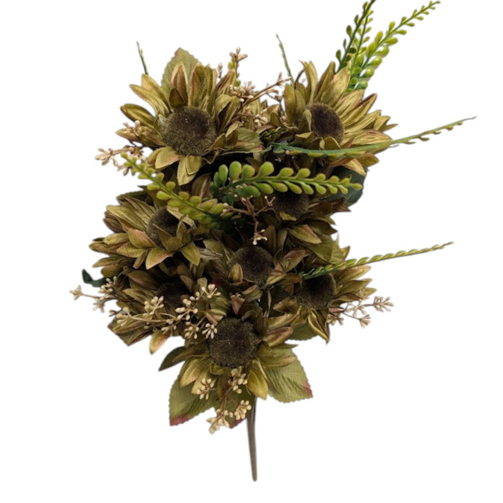 Olive Green Wild Sunflower Bush