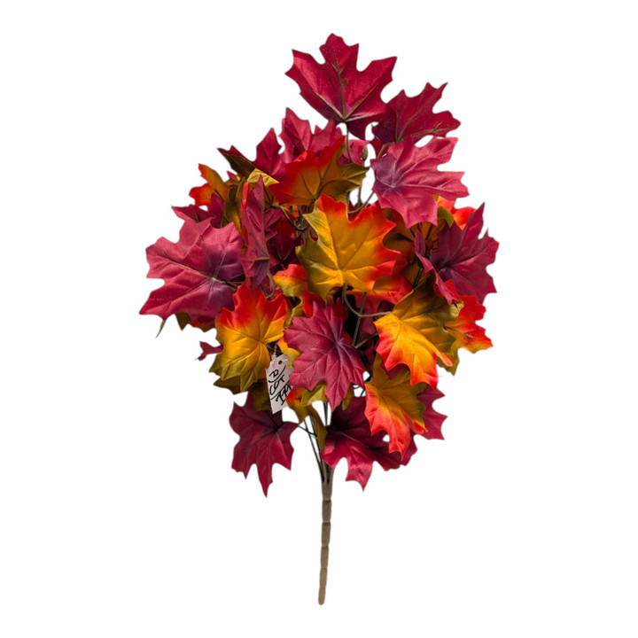 Red Orange Yellow Maple Leaf Bush