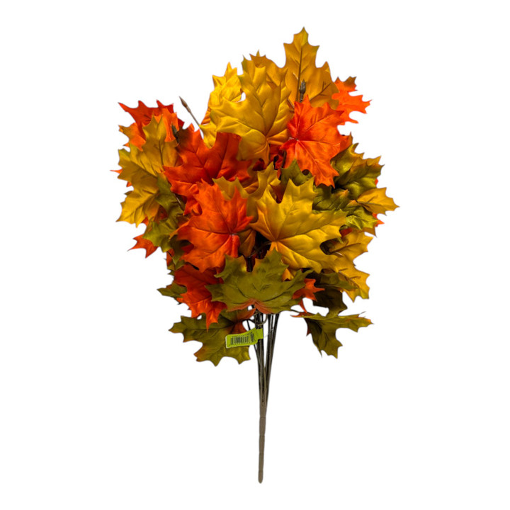 Orange Yellow Green Maple Leaf Bush