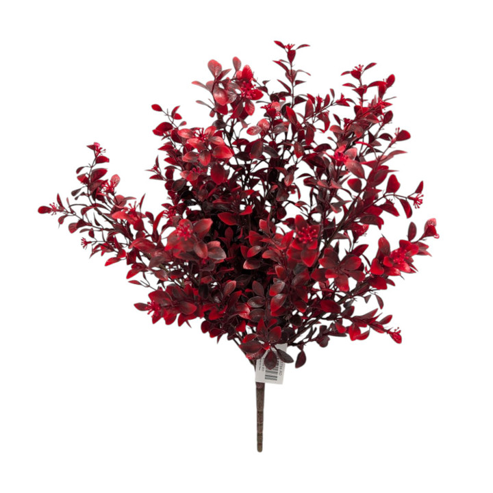 Red Eucalyptus Bush