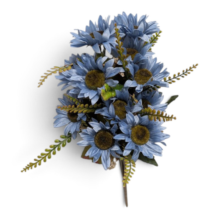 Dusty Blue Wild Sunflower Bush