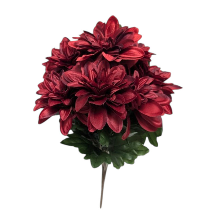 Burgundy Dahlia Bush